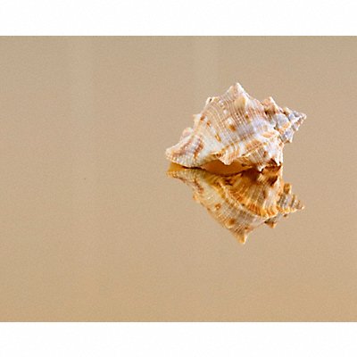 Architectural Brass Sheets