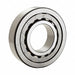 Cylindrical Roller Bearing 160 mm OD