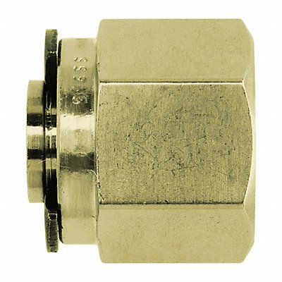 Compression Fitting Caps and Plugs