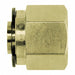 Compression Fitting Caps and Plugs