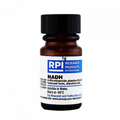 NADH 1g Powder