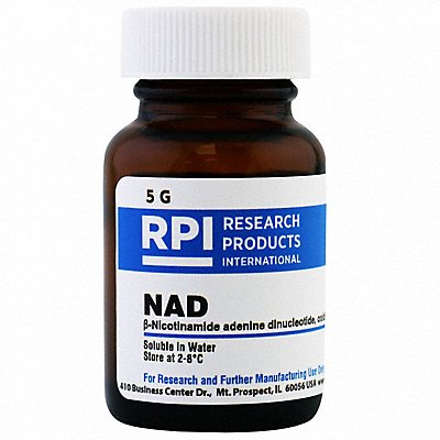 NAD 5g Powder