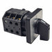 CAM Switches