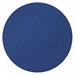 J1134 PSA Sanding Disc 10 in Dia 40 G