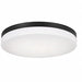 Flush Mount 120 V 20 W 2 1/2 L