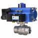 Ball Valve 1/2 In FNPT Double Acting SS