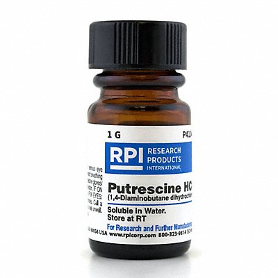 Putrescine Dihydrochloride 1g Powder