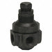 Pressure Regulator 1/4 In 0 to 125 psi