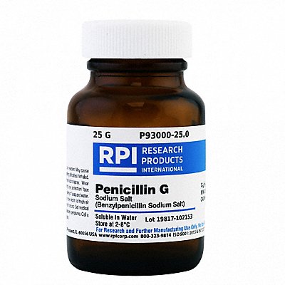 Penicillin G Sodium Salt 25g