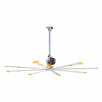 Ceiling Fans