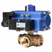 Ball Valve 1 In NPT Double Acting Brass