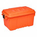 Storage Trunks