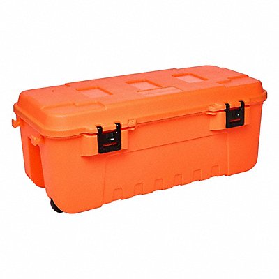 Storage Trunks