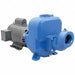 Self Priming Pump 3 HP Cast Iron