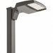 Area and Roadway Lighting Fixtures