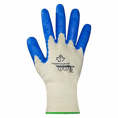 Dexterity Ctn Glv Nt Ctd7 PK12