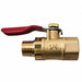 Mini Ball Valve 1/4 In NPT Lever Handle