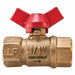 Mini Ball Valve 1/4 in NPT T-Handle