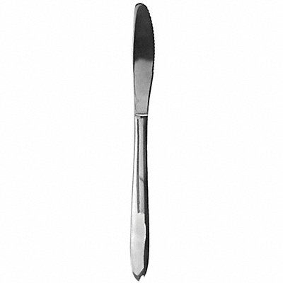 Dinner Knife 8 7/8 in L Silver PK12
