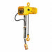 Electric Chain Hoists