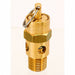 Pneumatic Safety Valve 1/4 (M)NPT Inlet