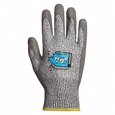 Tenactiv Fg Gry Pu Pm 12 PR