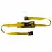 Tie Down Strap Ratchet Poly 9 ft.