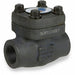 Check Valve Socket Weld 1-1/4 Sz