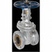 Gate Valves 300# Flanged 6 Size