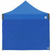 Professional Sidewall Blue 10 ft H