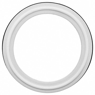 Sanitary Gaskets