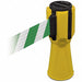 Tensacone Topper Yellow Belt Green/White