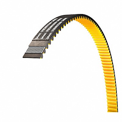 Timing Belts