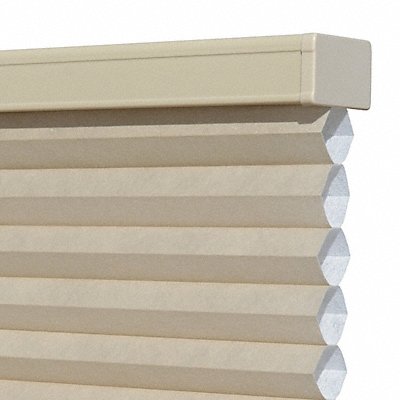 Cellular and Roll Window Shades