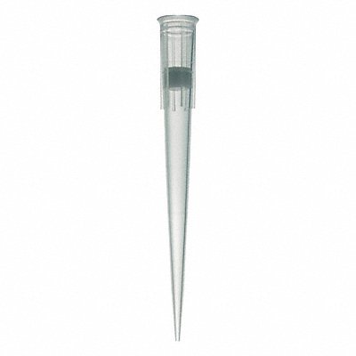 Pipette Tips