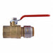 Ball Valve