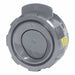 Check Valves