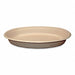 Disposable Carry-Out Containers