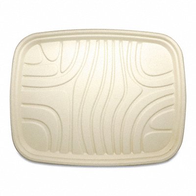 Disposable Carry-Out Containers