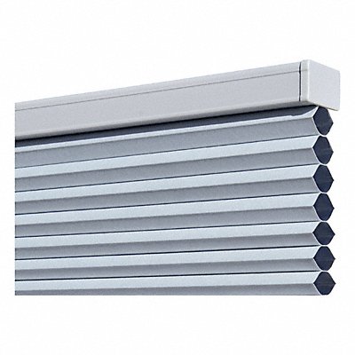 Cellular and Roll Window Shades