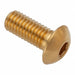 Button Head Socket Cap Screw