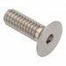 Flat 100 Head Socket Screw