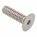 Flat 100 Head Socket Screw