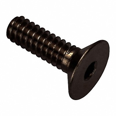 Flat 100 Head Socket Screw