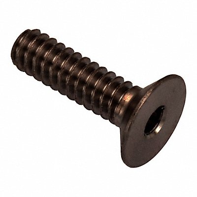 Flat 100 Head Socket Screw