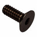 Flat 100 Head Socket Screw