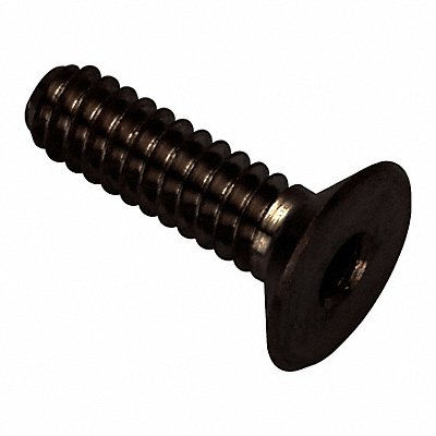 Flat 100 Head Socket Screw