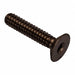Flat 100 Head Socket Screw