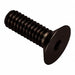 Flat 100 Head Socket Screw