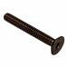 Flat 100 Head Socket Screw